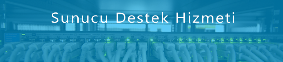 Sunucu Destek